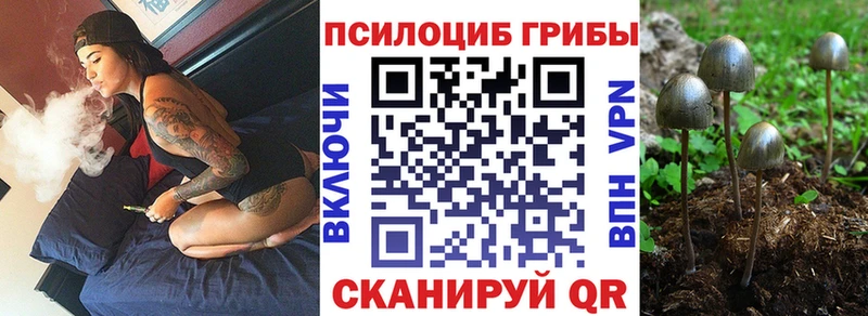 Галлюциногенные грибы MAGIC MUSHROOMS  Михайловка 